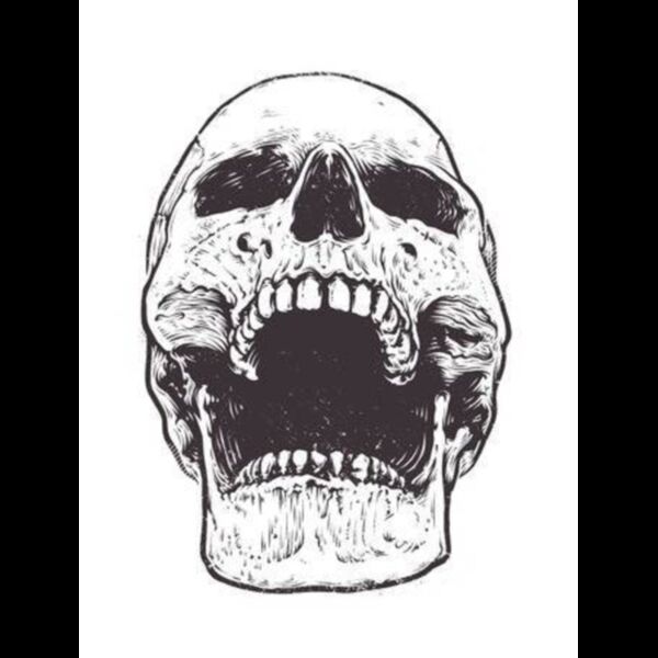 imageedit 3 7865199625 Thumbnail