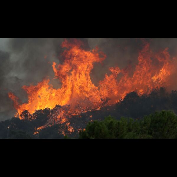 4b048264 298e 4049 a0a6 c0c0e4696831 2187 Thumbnail