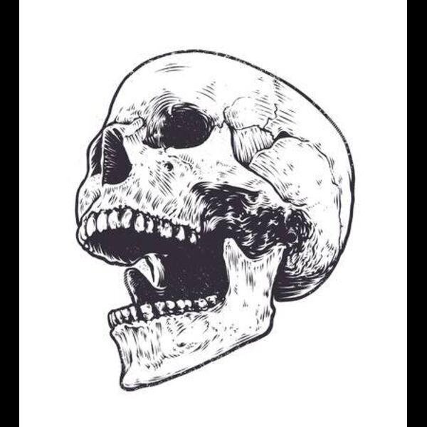 70036321 stock vector anatomic skull vector art detailed hand drawn illustration of skull with open mouth grunge weathered Thumbnail