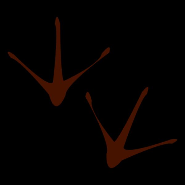 0da2abcd804098c2c8a9fe9db6b6127d bird footprints by vexels Thumbnail