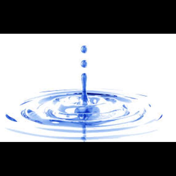 download  14  Thumbnail