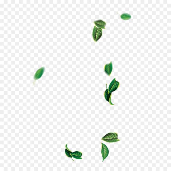 kisspng leaf green tree falling leaves 5a9207b5e83 bell Thumbnail