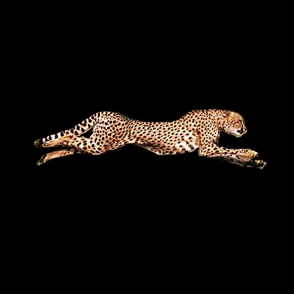 Running Cheetah Transparent Background PNG Thumbnail