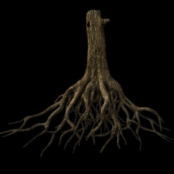 5a90235eb15d5c051b369080 triangle Thumbnail