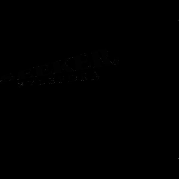 seeker logo Thumbnail