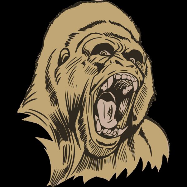 imageedit 44 2985340155 Thumbnail