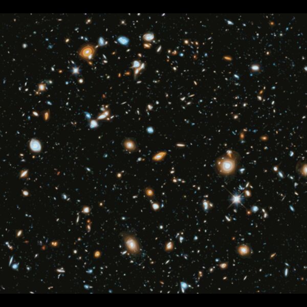 imageedit 43 6644111827 Thumbnail