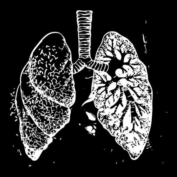 BLM2Artboard 1 4x Thumbnail