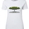 Stedman Ladies Classic Tee - On Special! Thumbnail