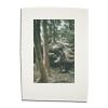 Linen Tea Towels Thumbnail